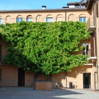 Particolare Palazzo Sassi