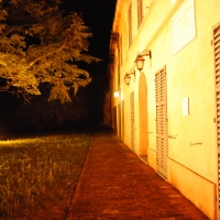 Esterno di Villa Saffi, con il suo albero secolare - Chiari86 - ForlÃ¬ (FC)