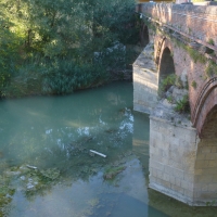 Ponte dei Veneziani - Meldola 2