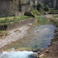 Particolare fiume Rabbi- Premilcuore 12.04.15 006 - Chiara Dobro