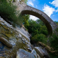 Ponte Romano - Stefano Zagnoli