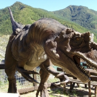 Diga di Ridracoli "Mostra Dinosauri in carne e ossa" - Clawsb - Santa Sofia (FC)