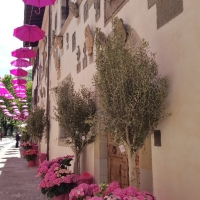 Palazzo del Capitano vestito di rosa per il 100Â° Giro d'Italia - Marco Musmeci - Bagno di Romagna (FC)