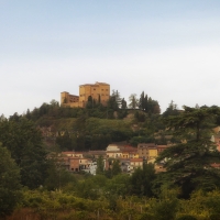 Rocca di Bertinoro2 - Boschettim65