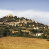 Rocca di Bertinoro 3 - Boschettim65