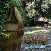 Nel giardino di Villa Silvia-Carducci-2 - Boschettim65