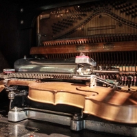 Organetto che suona il violino - Boschettim65 - Cesena (FC)