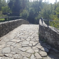 Il Ponte Romano 07 - Marco Musmeci