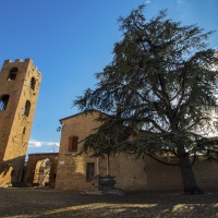 Castello Malatestiano sito in Longiano - Cecco93