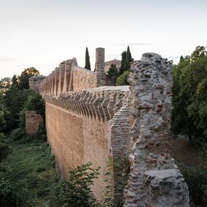 Mura della Rocca Malatestiana 1 - Vinc.54