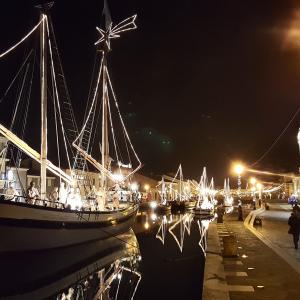 Porto canale (2) - William righi