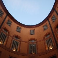 The windows - Irenefinessi - Ferrara (FE) 