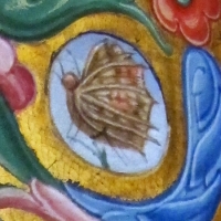 Jacopo filippo argenta e fra evangelista da reggio, antifonario XII, 1493, 08,1 farfalla - Sailko