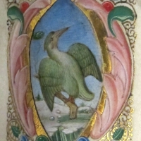 Jacopo filippo argenta, antifonario X, 1493, 03,2 - Sailko
