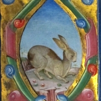 Jacopo filippo argenta, antifonario XVIII, 1480-1500 ca, 13,1 - Sailko
