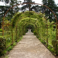 Palazzo Costabili detto di Ludovico il Moro - Passeggiata in giardino - Andrea Comisi - Ferrara (FE) 