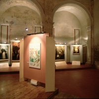 Museo Civico. La quadreria - Samaritani