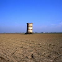 loc. Ospital Monacale, Colombaia della Fascinata, torre colombaia