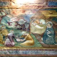 Scuola bolognese, ciclo dell'abbazia di pomposa, 1350 ca., nuovo testamento, 02 natività foto di Sailko