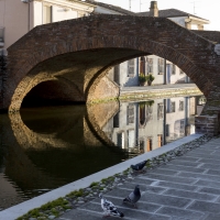 Ponte San Pietro, Riflessi - Vanni Lazzari