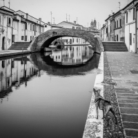 Ponte San Pietro - Attenti al cane - Vanni Lazzari