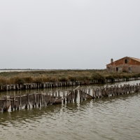 Le Valli con le antiche stazioni di pesca 2 - Paola Pedone