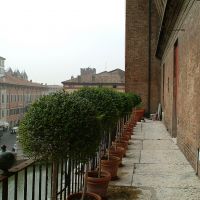 Castello Estense. Scorcio del Giardino degli Aranci - Baraldi - Ferrara (FE)