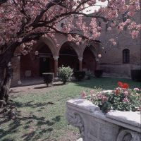 Convento di Sant'Antonio in Polesine con ciliegio fiorito