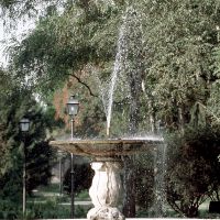 Parco Massari. Fontana - Baraldi