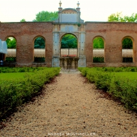 Giardino Palazzo dei Diamanti2 - Andrea.Montibeller - Ferrara (FE)