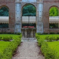 Palazzo dei Diamanti giardino - Andrea.Montibeller - Ferrara (FE)