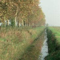 canale di irrigazione - Samaritani