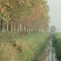 canale di irrigazione - Smaritani