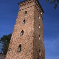 Migliarino, Torre Pavanelli - Meneghetti