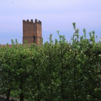 Torre dell'Uccellino vista in lontananza - Meneghetti - Poggio Renatico (FE)