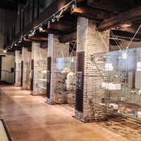 Museo Civico di Belriguardo, sezione Archeologica - AlessandroB - Voghiera (FE)