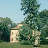 Villa Massari tra gli alberi - Samaritani