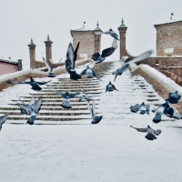Nevevicata sul centro di Comacchio - Francesco-1978 - Comacchio (FE)