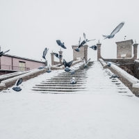 Neve sul piazzale pescheria a Comacchio - Francesco-1978 - Comacchio (FE)
