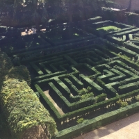 Il giardino di Palazzo Costabili - Alison Mary Lazzari - Ferrara (FE)