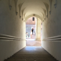 Looking down the scalone Palazzo Costabili - Alison Mary Lazzari