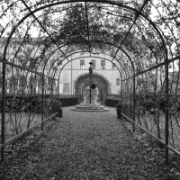 Il giardino del Palazzo - Antonella Balboni - Ferrara (FE)