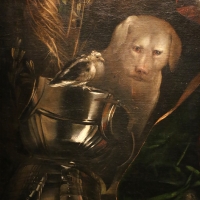 Dosso dossi, melissa, 1518 ca. 03 cane - Sailko - Ferrara (FE)