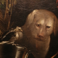 Dosso dossi, melissa, 1518 ca. 04 cane - Sailko - Ferrara (FE)