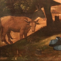 Dosso dossi, nativitÃ , 1519, 02 bue - Sailko - Ferrara (FE)