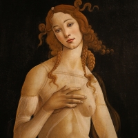 Sandro botticelli e bottega, venere pudica, 1485-90 ca. (galleria sabauda) 02 - 