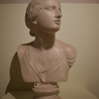 Busto di Niobe, collezione Riminaldi, Palazzo Bonacossi, Ferrara 01 - Nicola Quirico