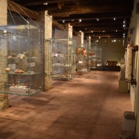 Museo Civico di Belriguardo (Voghiera) 11 - Nicola Quirico