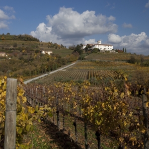 Abbazia di Rosazzo - Vigneti - Fabrice Gallina