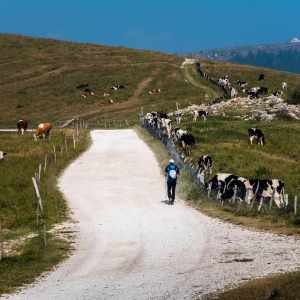 Monti Lessini - Regione Veneto
